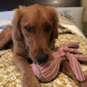 Meet your Posher, Diane